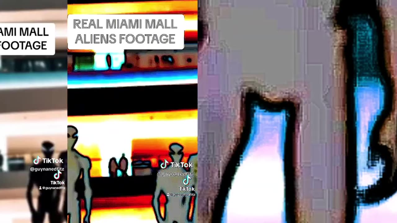 Other footage of the 3 xrays trying to blend into a day at the mall.