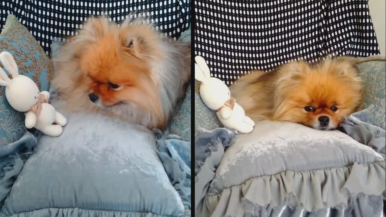 My favorite cushions