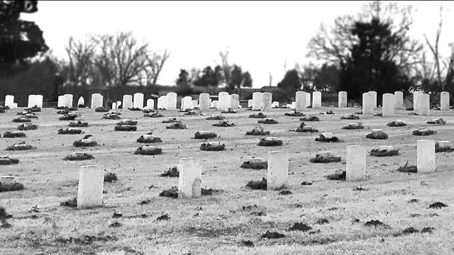 The Reality of Memorial Day