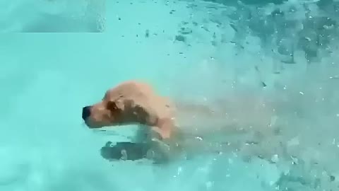 To swim