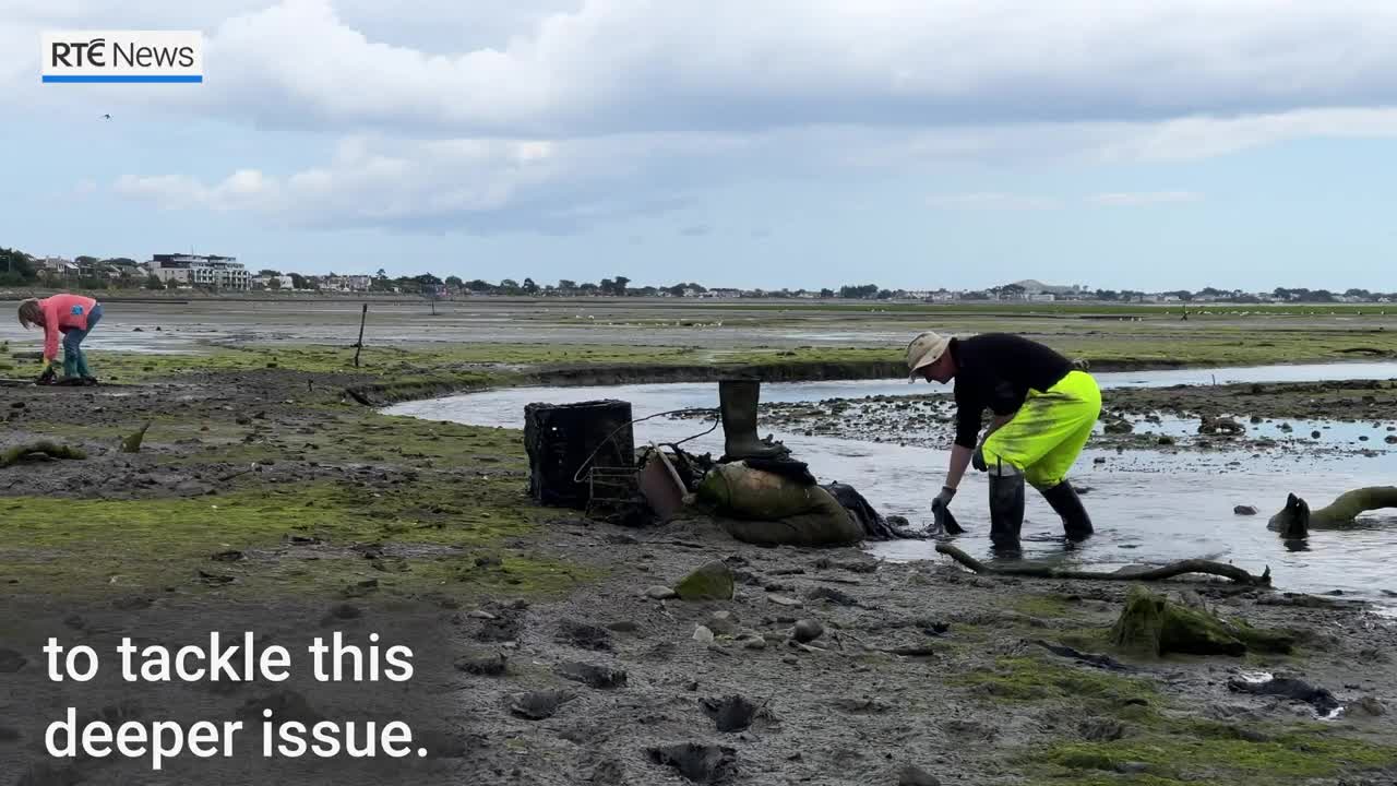 Volunteers drag mattresses, tyres from Bull Island