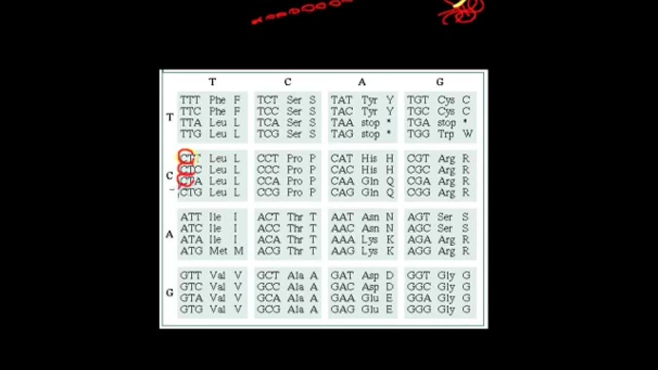 Analysis of proteins by in vitro mutagenesis