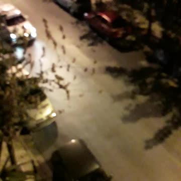 Επιχείρηση Αστυνομίας σε κλαμπ (4)