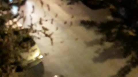 Επιχείρηση Αστυνομίας σε κλαμπ (4)