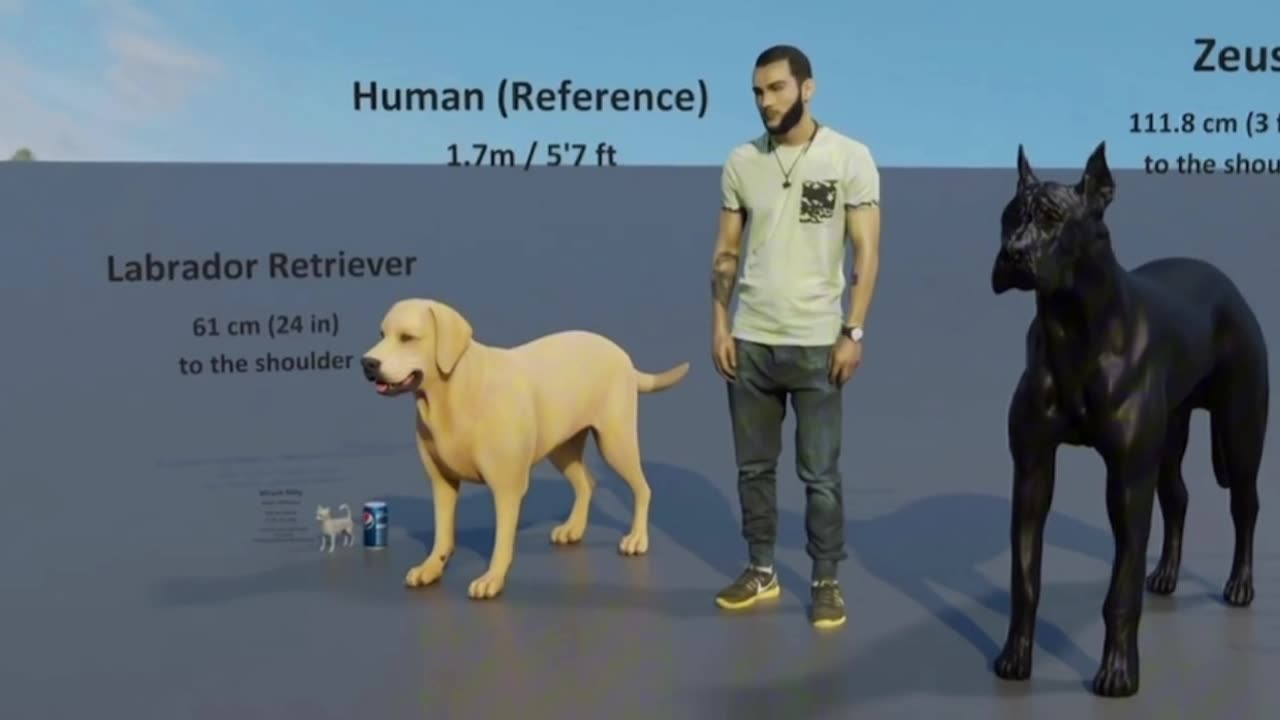 Smallest dog vs biggest dog comparison