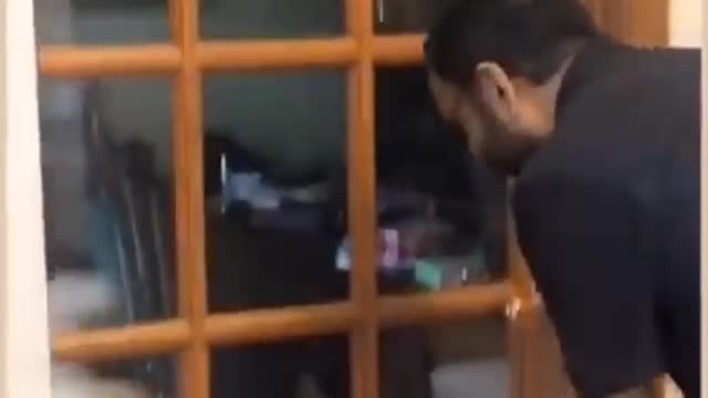 Funny clips dog in his mode