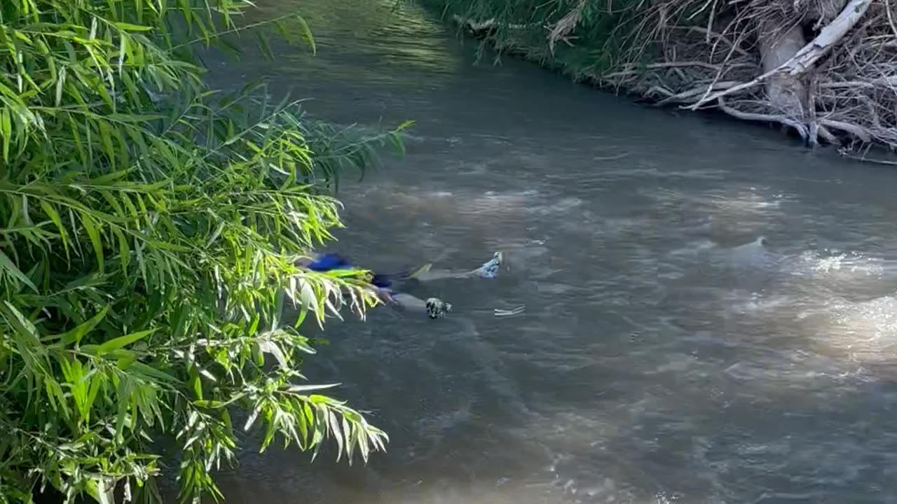 Boy Floats Down River in a Life Jacket