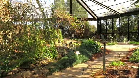 botanical gardens butterfly room