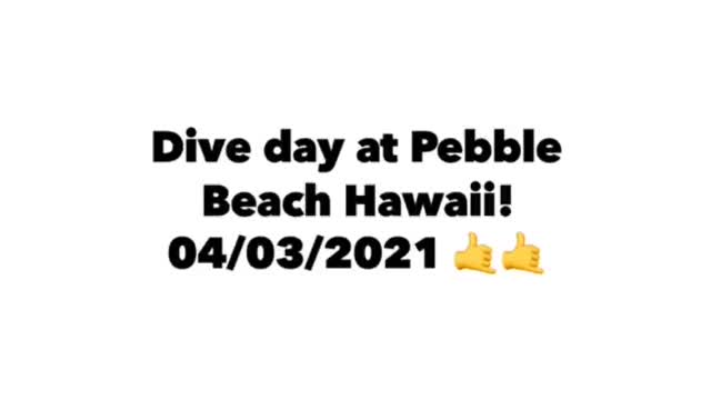 Dive day at Pebble Beach Hawaii! 🤙🤙