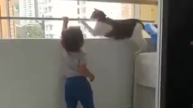 Cat Stop Baby from Falling