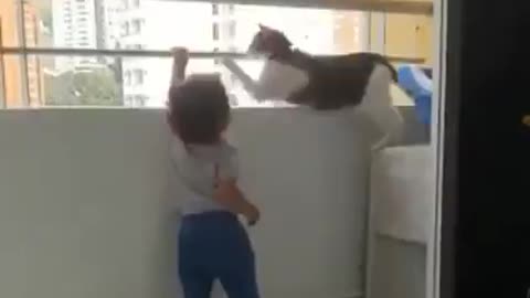 Cat Stop Baby from Falling