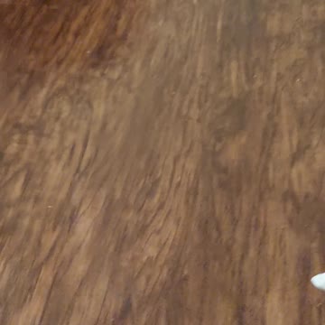 He was supposed to fetch