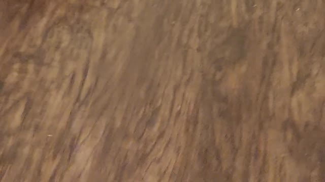 He was supposed to fetch