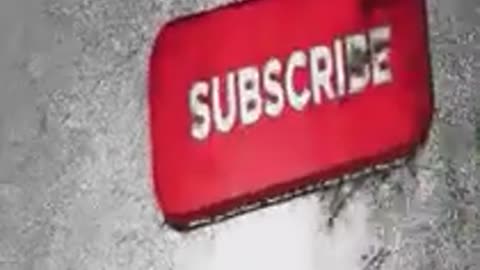 videos to die of laugh 2021