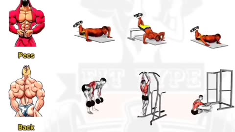 Full Body Workout
