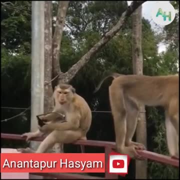 Comedy video scenes 😂😂😛😛