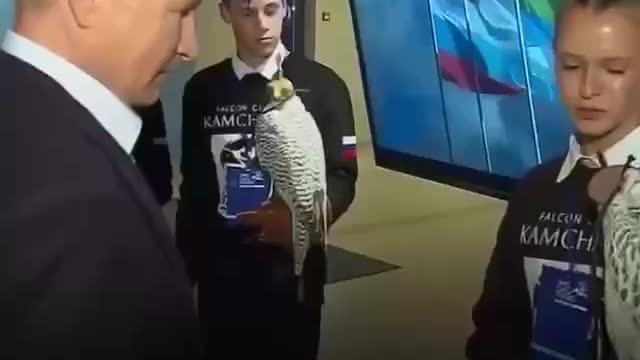 Putin - Storm