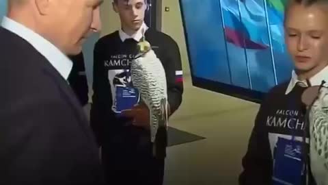 Putin - Storm