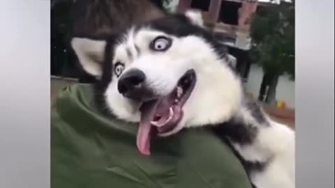 Funny funny moments part 18