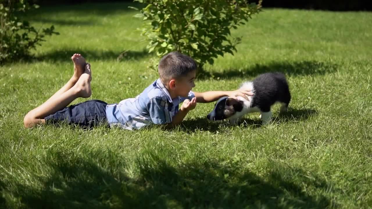 Little attractive boy plays with a small dog in the park on the grass having