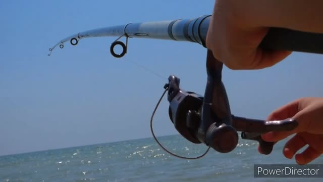 Nice fishing reel