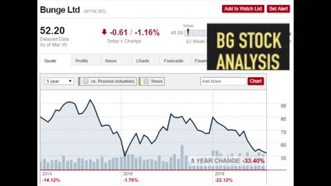 Food Sector Stock Analysis and Investment Strategy