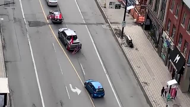 🇨🇦 Canada The Freedom Convoy in Ottawa