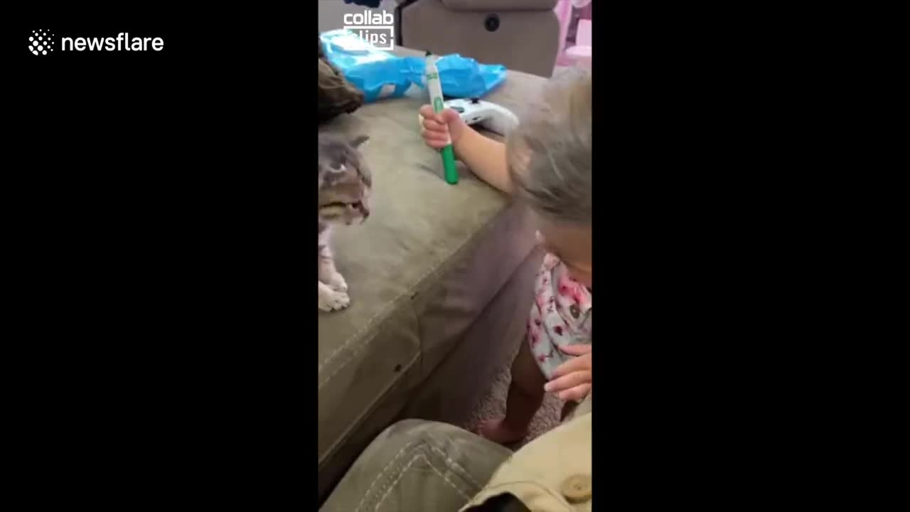 Toddler girl and rescued kitten take turns giving each other kisses in Arizona