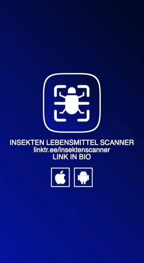 What are you eating the language does not matter