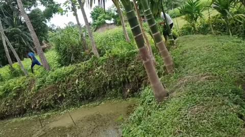 funny comedy videos