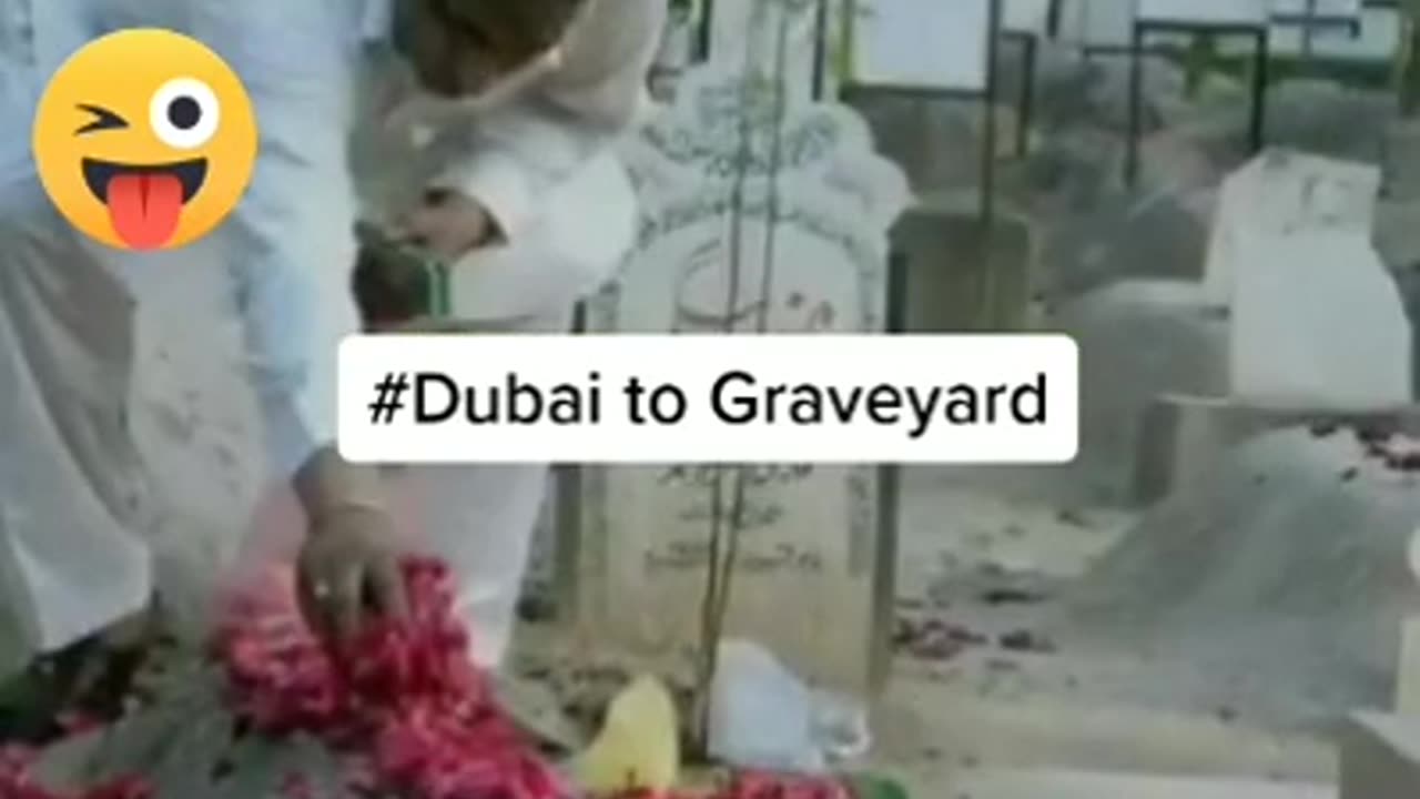 Grave yard #funny video