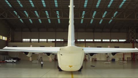 soar effortlessly