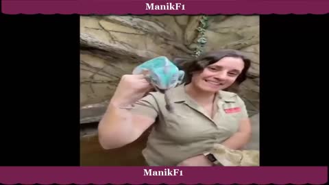 Funny Video