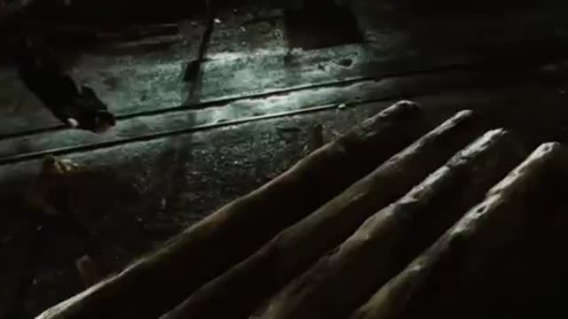 Wolverine ( Brotherly Fight)