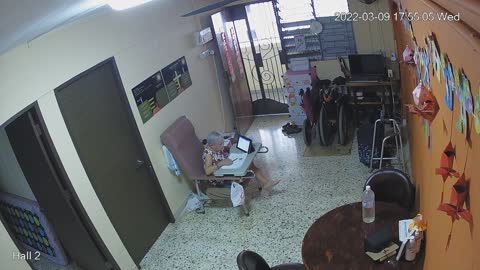 hallback day n night 20220309