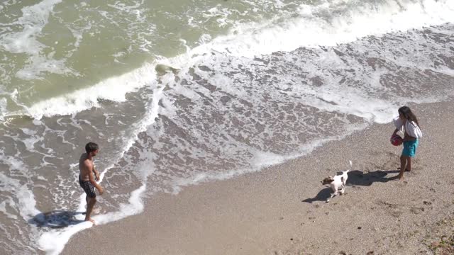 Watch the dog on the sea playing soccer