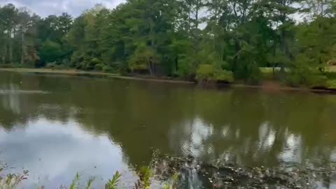Peaceful day! #nature