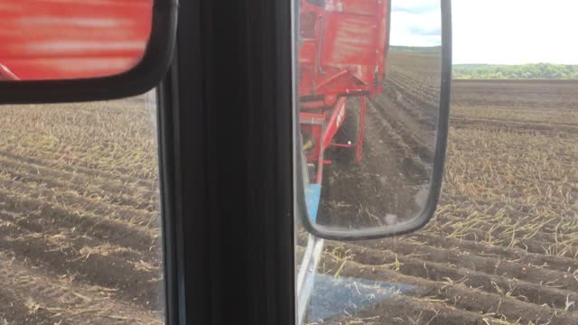 The harvesting of potatoes