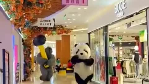 Funny Panda ll Panda Video l Funny panda video ll cute Panda #shorts #panda #funny #tiktok #animals