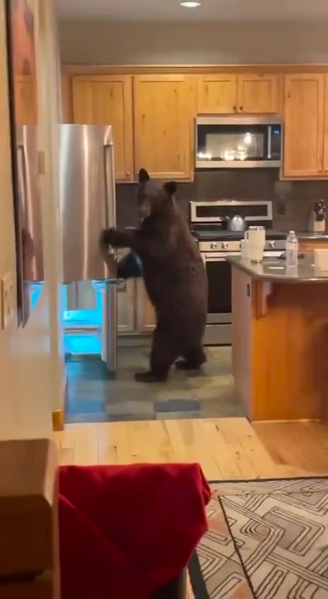 Why is your refrigerator empty???