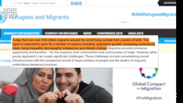 Immigration Ministry briefing note declares Soros-backed charity 'entrenched' in the department