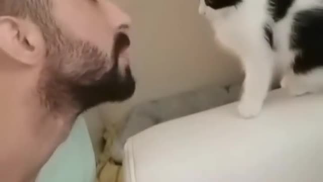 Cat loves kissing his owner..#shorts