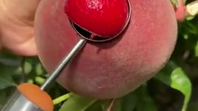 Relaxing Fruit Cutting