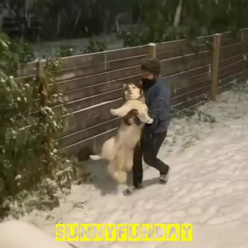 This dog wants to be out in the snow🐶