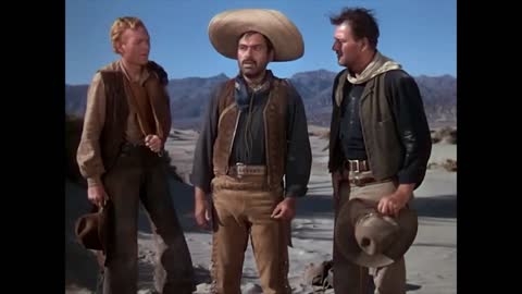 HOMEns NÃO SABEM FAZER PARTO