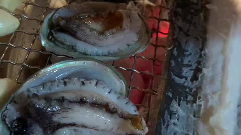 abalone