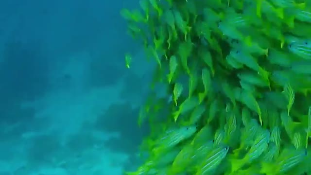 Deep ocean view