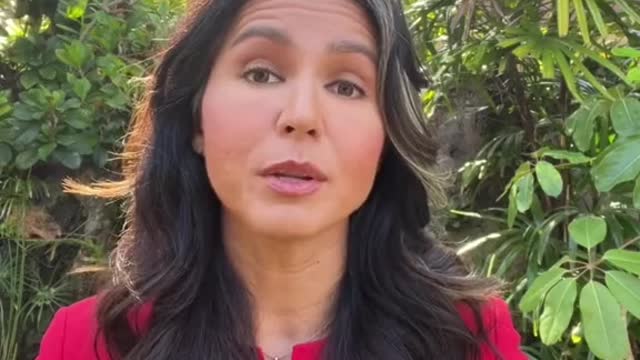 PART 2 TULSI GABBARD - PROOF OF BIO-LABS