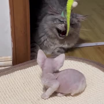 That’s my bed please leave 😂😂