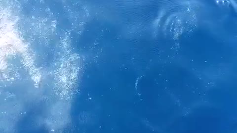 mysterious blue ocean